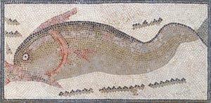 Dolphin, from Tunis, 3rd-5th Century AD by Roman Roman